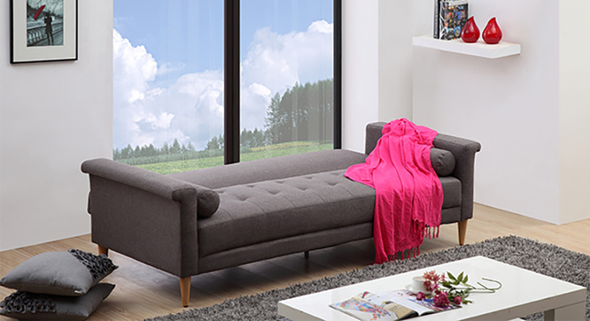 Dalton Sofa Cum Bed(Dark Grey)